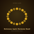 Botswana Agate Harmony Band