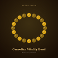 Carnelian Vitality Band