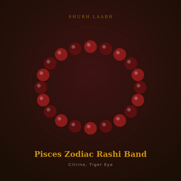 Pisces Zodiac Rashi Band (मीन राशि) - Citrine, Tiger Eye