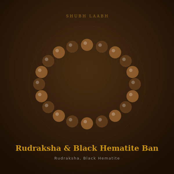 Rudraksha & Black Hematite Band