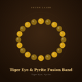 Tiger Eye & Pyrite Fusion Band